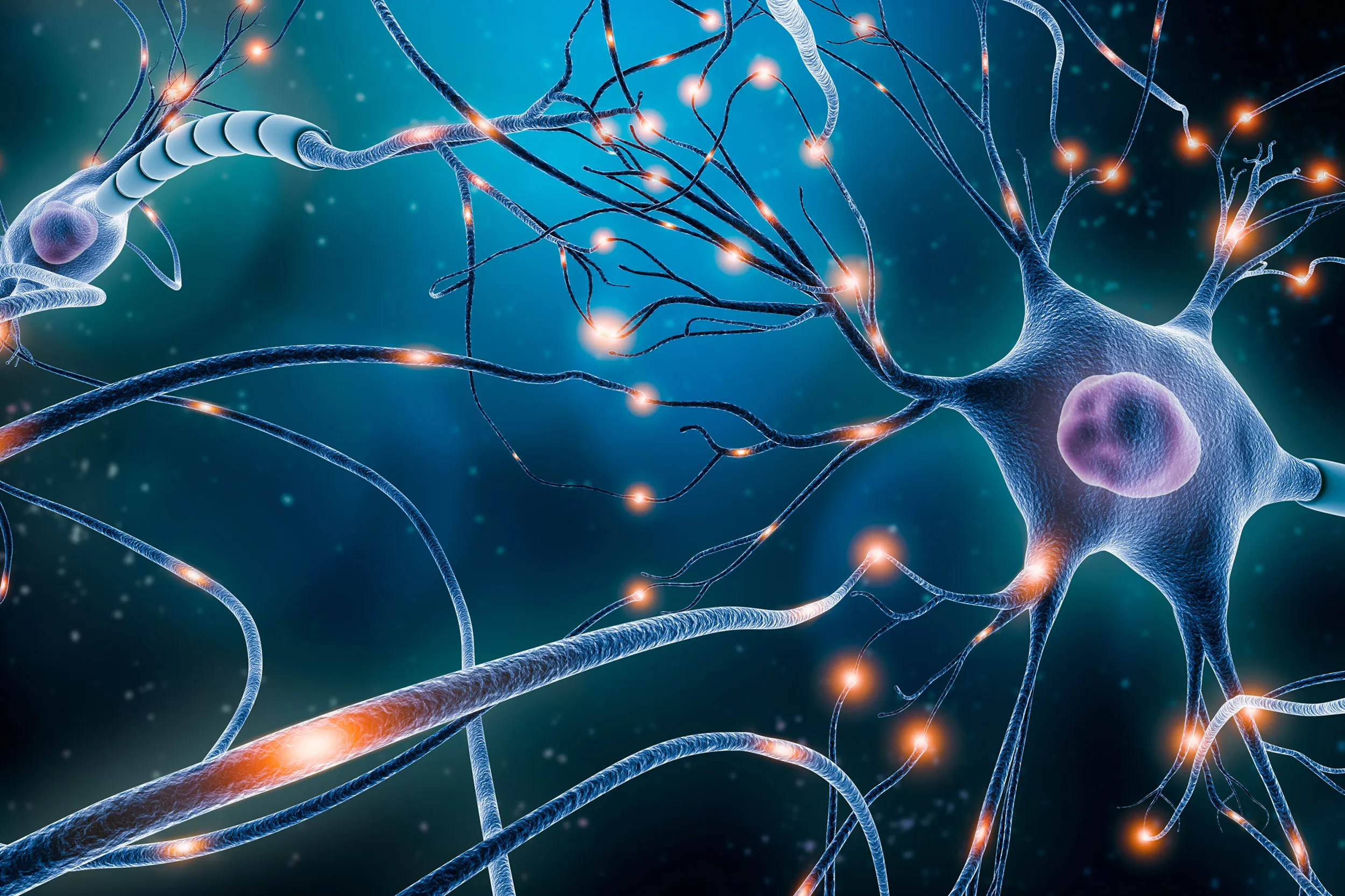 Neuron network with glowing signal paths